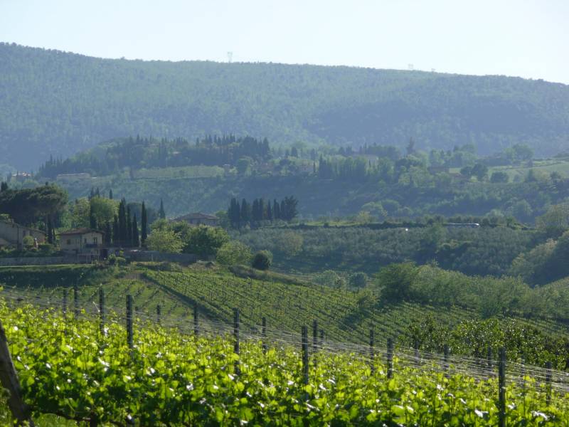 voyage dans les Vignoble de Toscane San Giminiano 